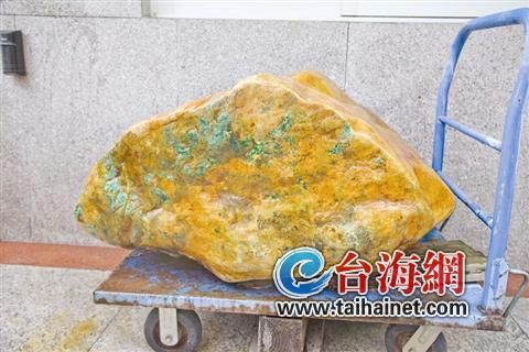 700公斤缅甸翡翠原石现身:表面呈金黄皮